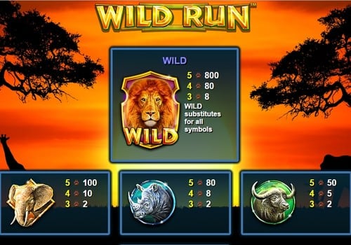 Символы и коэффициенты в автомате Wild Run